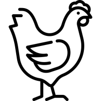 Icône poule