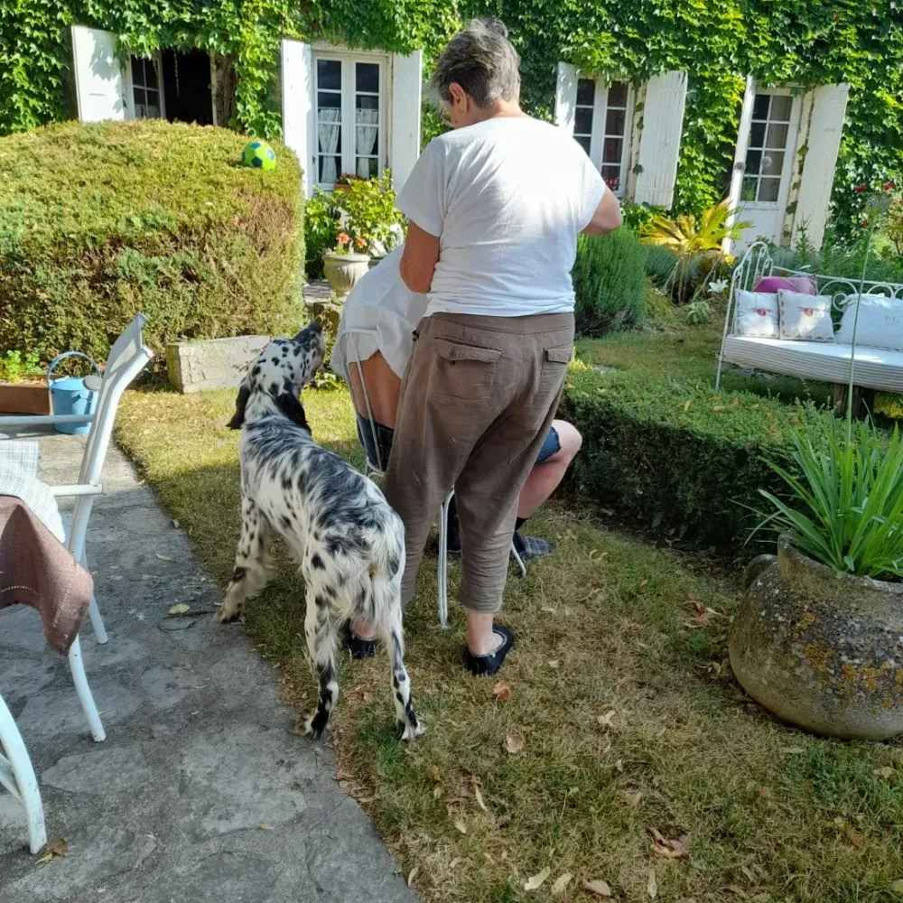 Chien de la ferme