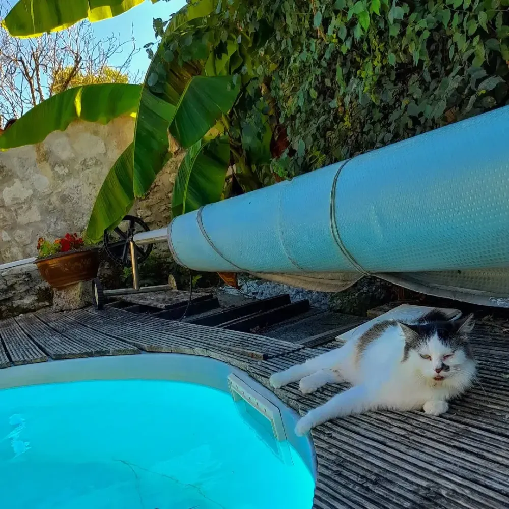 Gîte avec piscine près de Royan
